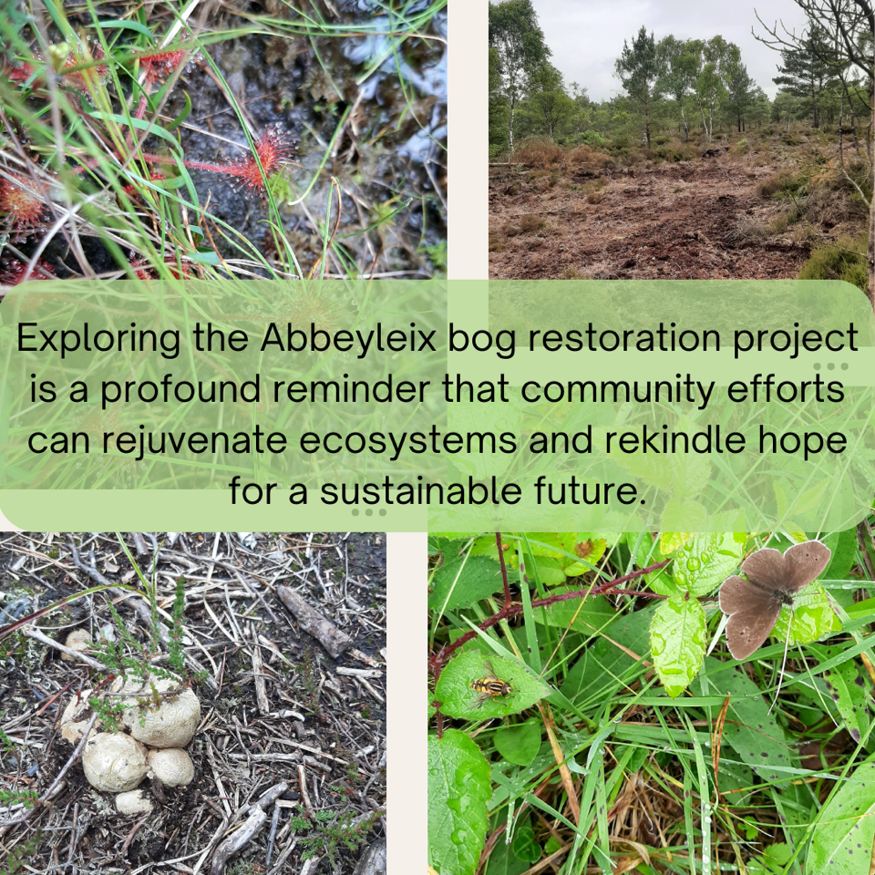 Abbeyleix Collage